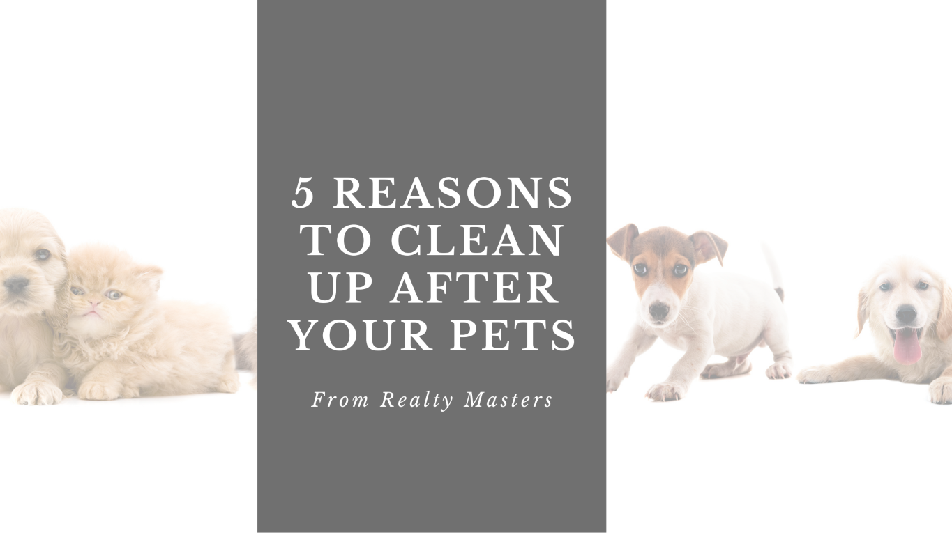5 reasons to clean up after your pet