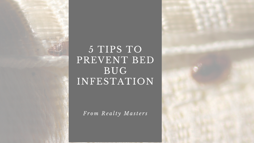 5 tips to prevent bed bug