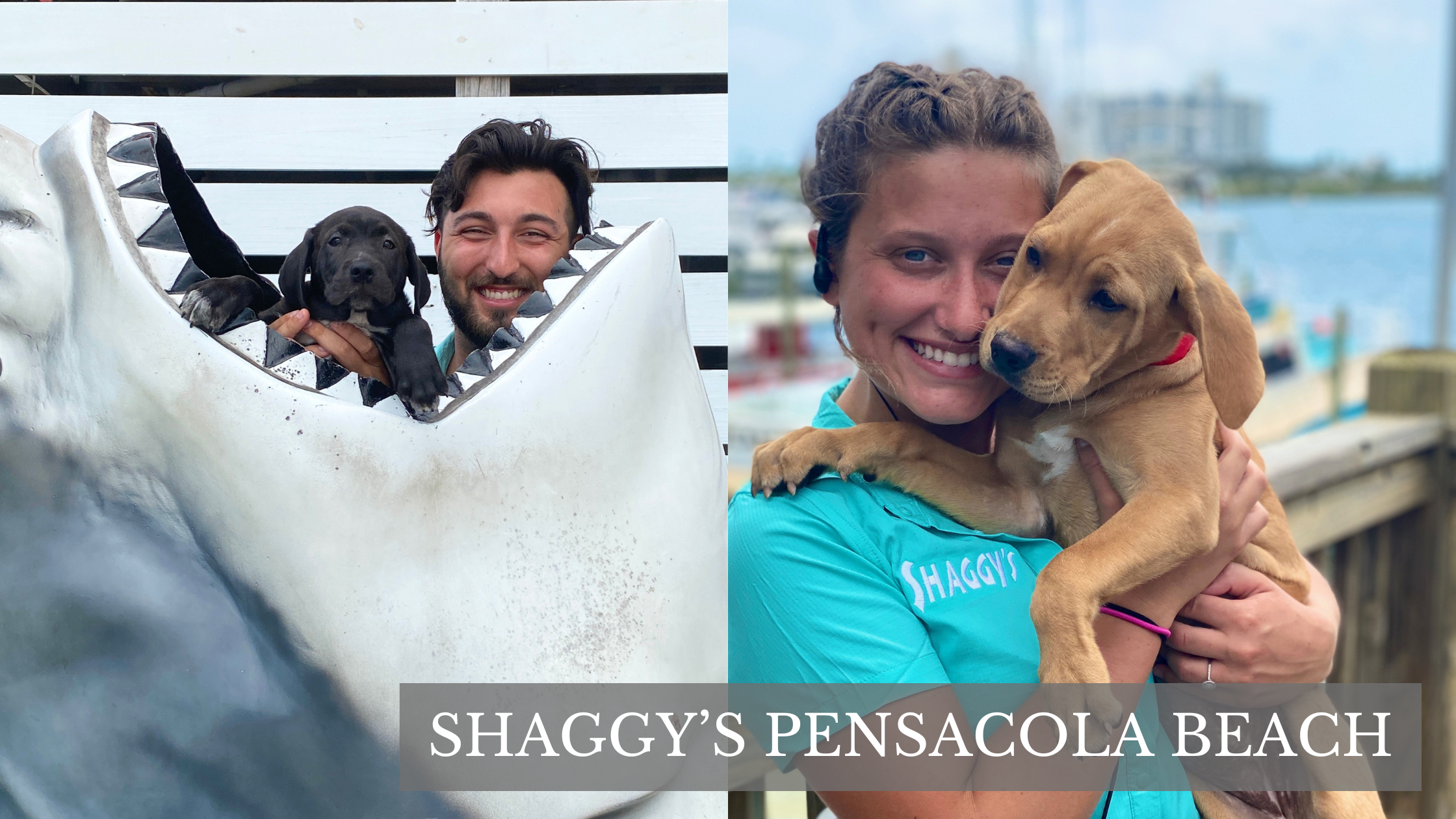 Shaggy's Pensacola Beach dog friendly restaurant